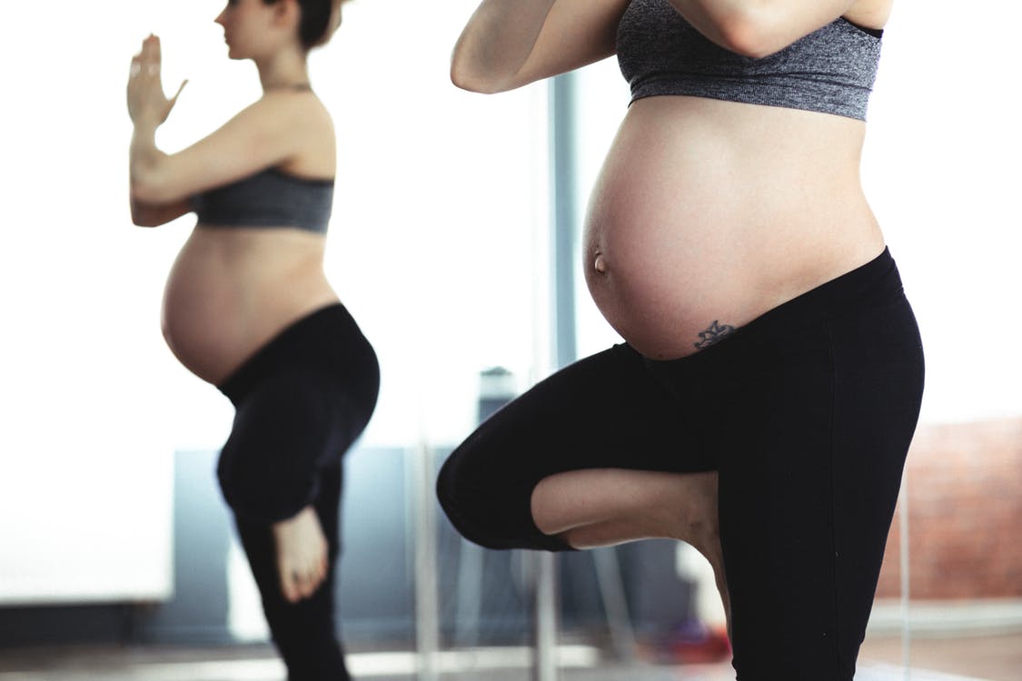 gravid